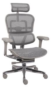 -10% z kodem 4B17345 - Ergonomiczny fotel biurowy Ergohuman 2 Elite Pro GS Grey