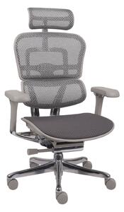Ergonomiczny fotel biurowy Ergohuman 2 Elite Pro GT Grey