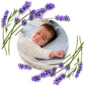 Termofor BABYONO Cherry 796/02 Szary