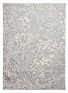 Szaro-bezowy dywan 220x160 cm Apollo – Think Rugs