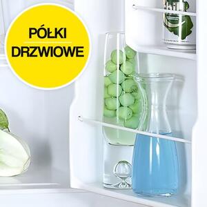 Lodówka HYUNDAI RSD064WW8E 64cm Biała