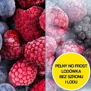 Lodówka SAMSUNG RF50C530EB1 EO Side by Side AI No Frost 177.6cm Kostkarka Dystrybutor wody Grafitowa stal