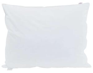 Poduszka z poduszką 2 pcs Biały 50 x 75 cm Pióra