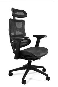 Fotel ergonomiczny Ergotech Black