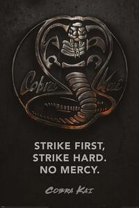 Plakat, Obraz Cobra Kai - Metal, (61 x 91.5 cm)