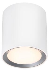 Lampa sufitowa Landon 14 - biała, LED