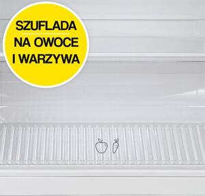 Lodówka CANDY CDG1S514ES 142.8cm Srebrna