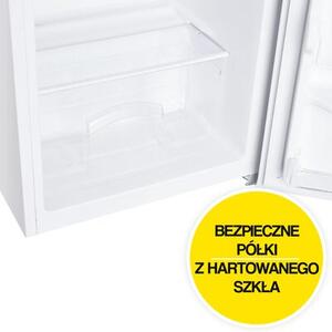 Lodówka CANDY COHS 38E36W 85cm Biała
