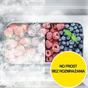 Lodówka HISENSE RL415N4ACE No Frost 172cm Inox