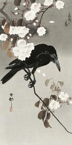 Druk artystyczny Crow And Cherry Blossom, Ohara Koson