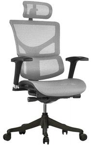 Ergonomiczny fotel biurowy z siateczki ErgoFly Sail, zgodny z normą BHP