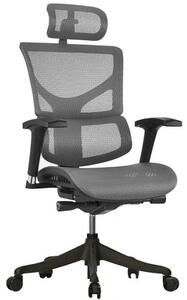 Ergonomiczny fotel biurowy z siateczki ErgoFly Sail, zgodny z normą BHP