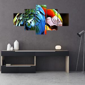 Obraz - Papuga (125x70 cm)