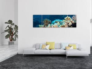Obraz - W oceanie (170x50 cm)