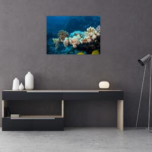 Obraz - W oceanie (70x50 cm)