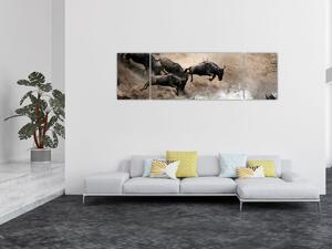 Obraz - Stado antylop gnu (170x50 cm)