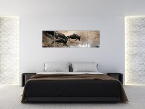 Obraz - Stado antylop gnu (170x50 cm)
