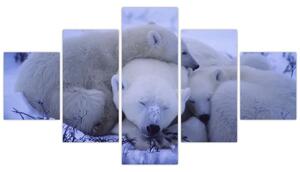 Obraz - Niedźwiadki polarne (125x70 cm)
