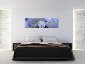 Obraz - Niedźwiadki polarne (170x50 cm)