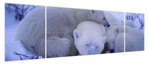 Obraz - Niedźwiadki polarne (170x50 cm)