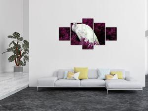 Obraz - Biały paw (125x70 cm)