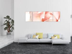 Obraz - Róża (170x50 cm)