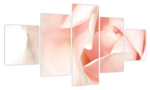 Obraz - Róża (125x70 cm)