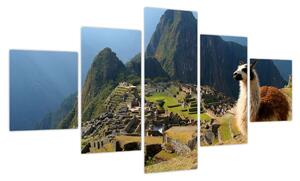 Obraz - Lama i Machu Picchu (125x70 cm)