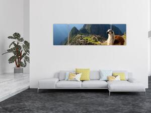 Obraz - Lama i Machu Picchu (170x50 cm)