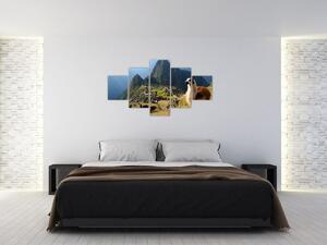 Obraz - Lama i Machu Picchu (125x70 cm)