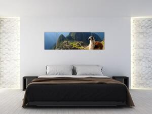 Obraz - Lama i Machu Picchu (170x50 cm)