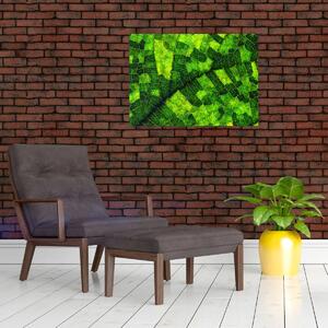 Obraz - Detal liścia (70x50 cm)