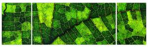 Obraz - Detal liścia (170x50 cm)