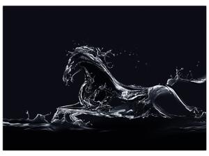 Obraz - Koń i woda (70x50 cm)