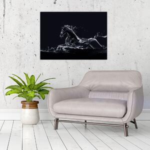 Obraz - Koń i woda (70x50 cm)