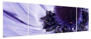 Obraz - Fioletowy kwiat (170x50 cm)