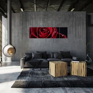 Obraz - Czerwona róża (170x50 cm)
