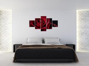 Obraz - Czerwona róża (125x70 cm)