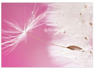Obraz - Makro kwiat (70x50 cm)