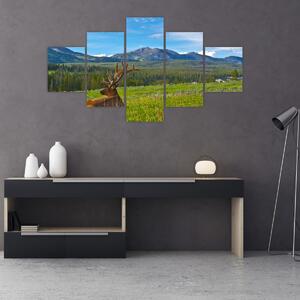 Obraz - Jeleń na łące (125x70 cm)