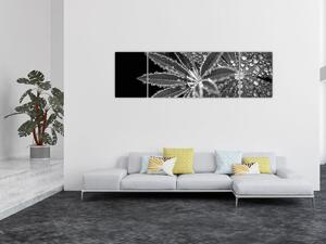 Obraz - Liście z kroplami (170x50 cm)