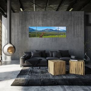 Obraz - Jeleń na łące (170x50 cm)
