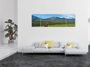 Obraz - Jeleń na łące (170x50 cm)