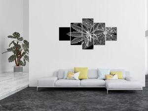 Obraz - Liście z kroplami (125x70 cm)