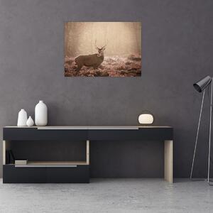 Obraz - Jeleń w lesie (70x50 cm)