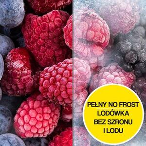 Lodówka SAMSUNG RB38C672ESA EF AI No Frost 203cm Metaliczny grafit