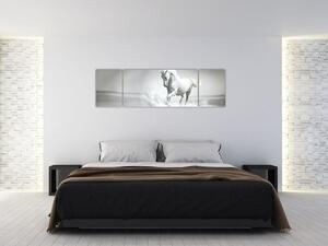 Obraz - Biały koń (170x50 cm)
