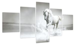 Obraz - Biały koń (125x70 cm)