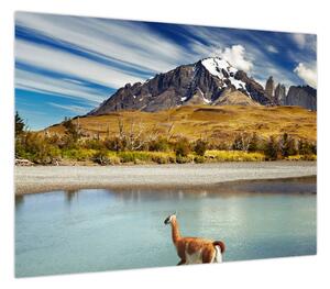 Obraz - Park Narodowy Torres del Paine (70x50 cm)
