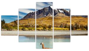 Obraz - Park Narodowy Torres del Paine (125x70 cm)